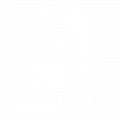 sogstudiosalpha